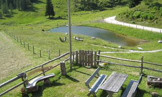 A green meadow with a small pond and a wooden bench. In the background, there are trees and a path visible.