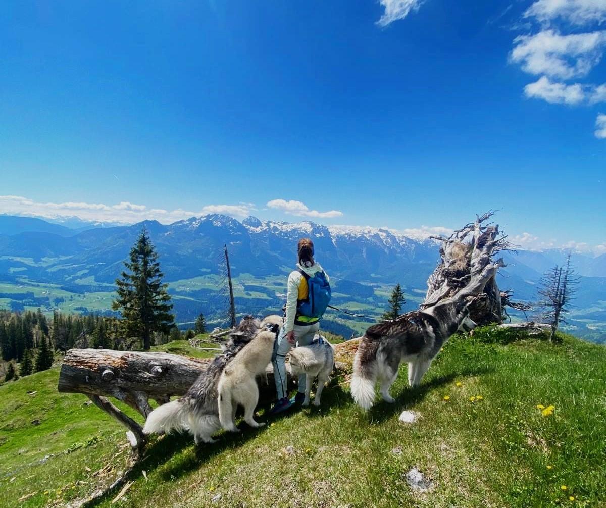 Sonnenaufgang-Huskytour für Frühaufsteher