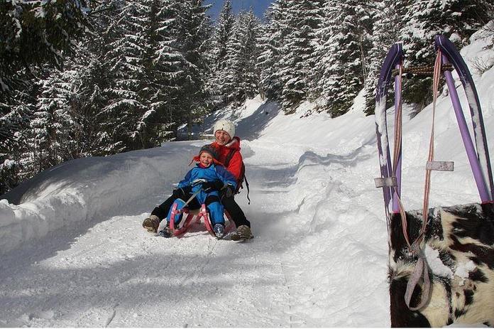 Rodelbahn Hochalm