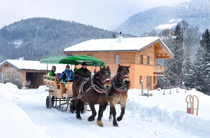 Pferdeschlitten und Kutschenfahrten Peter Hirscher