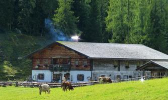 A traditional farmhouse in the Alps, surrounded by green meadows and trees. Some cows are peacefully grazing in the foreground.