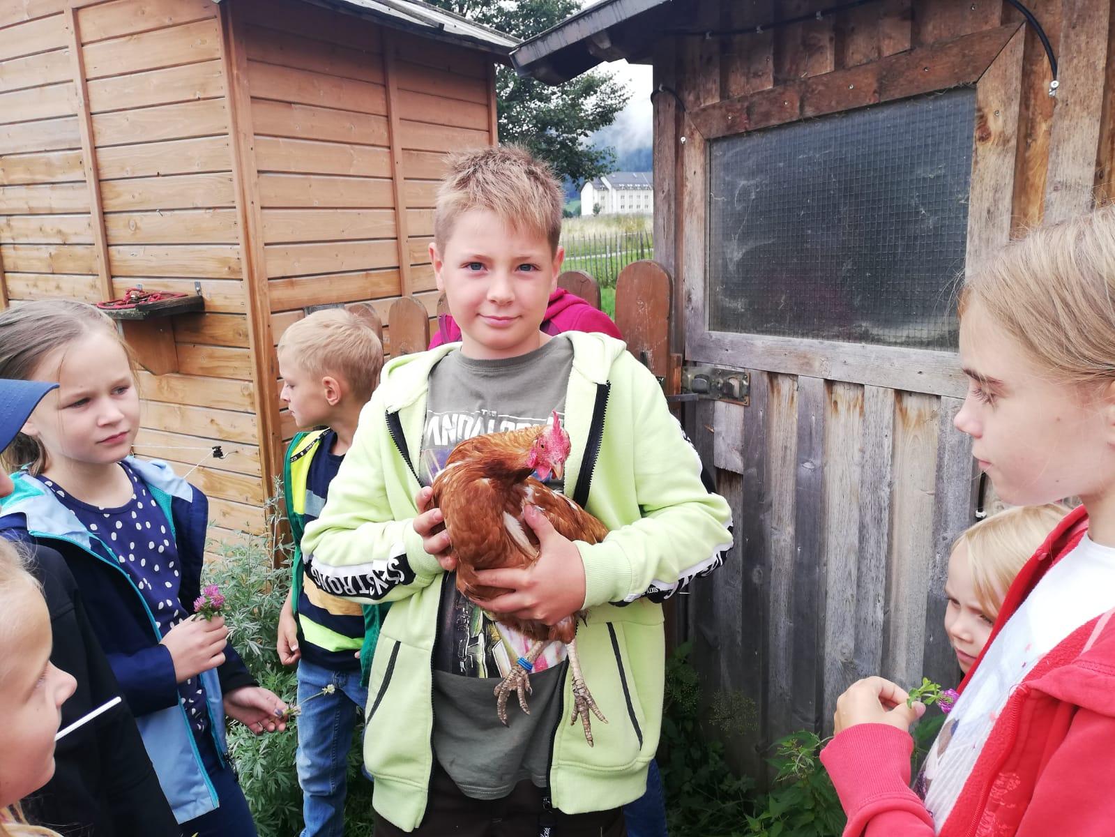 Kinderprogramm: Bauernhof-Zauber