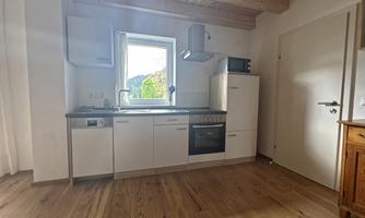 A modern kitchen with white cabinets and a wooden floor. Windows offer a view of nature.