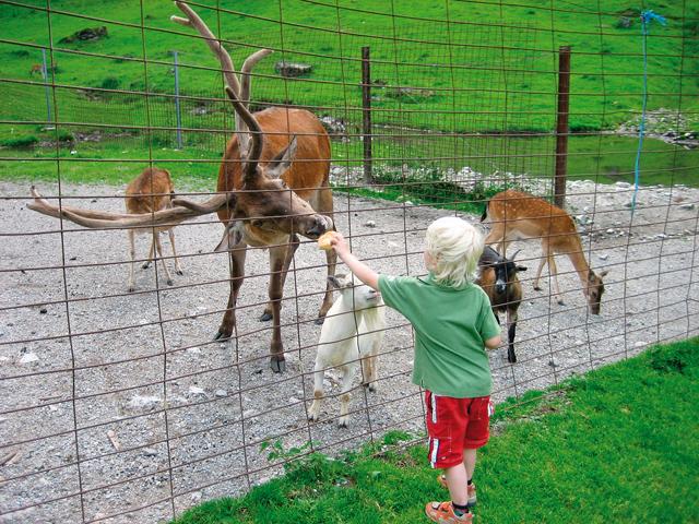 Freizeit- & Wildpark Untertauern