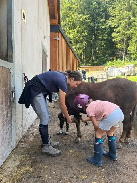 Abenteuer mit 4 Hufen