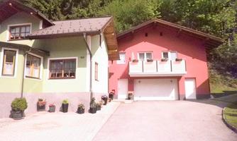 Two houses stand side by side, one green and the other pink. The walkway is paved and decorated with small plants.