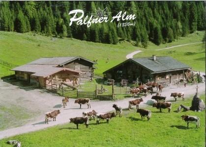 Musikalischer Almnachmittag Palfner Alm