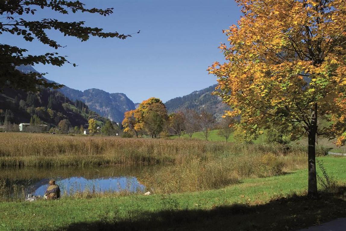 Haus Gamskarblick Dorfgastein Naturerlebniswanderw