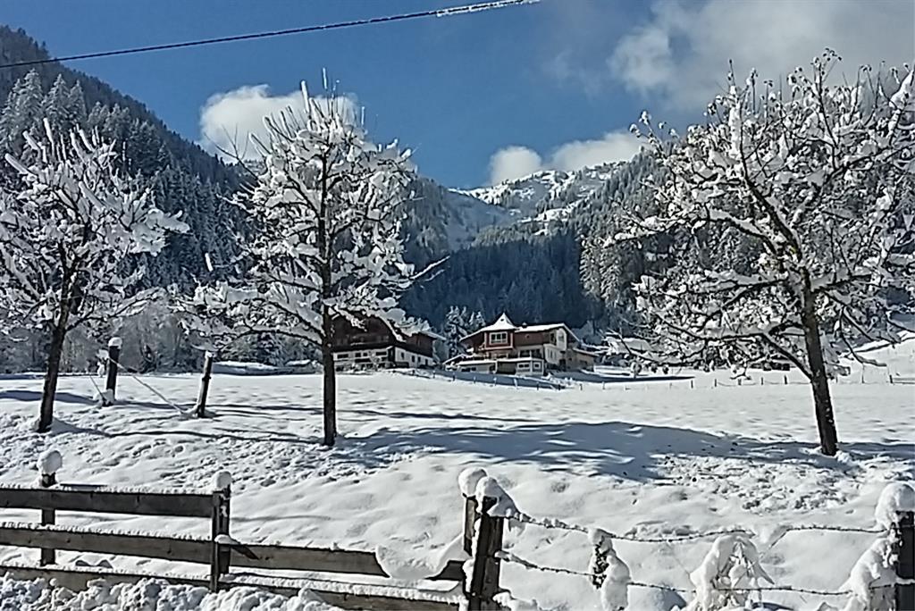 A snowy landscape with snow-covered trees and a farmhouse in the background. The mountains are clear and the sun is shining in the blue sky.