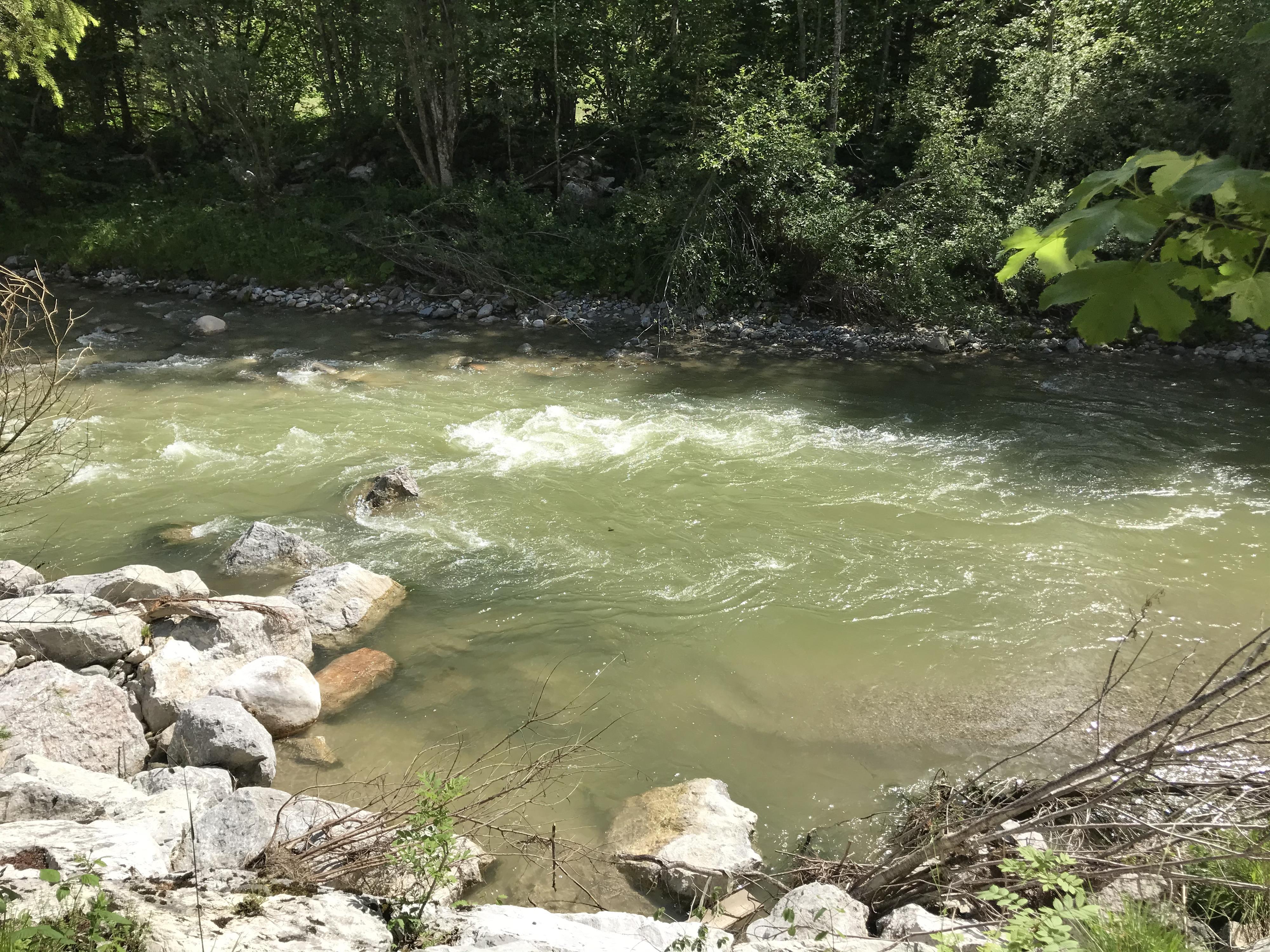 A calm river flows through a green landscape. Stones and trees surround the water, creating a relaxing atmosphere.