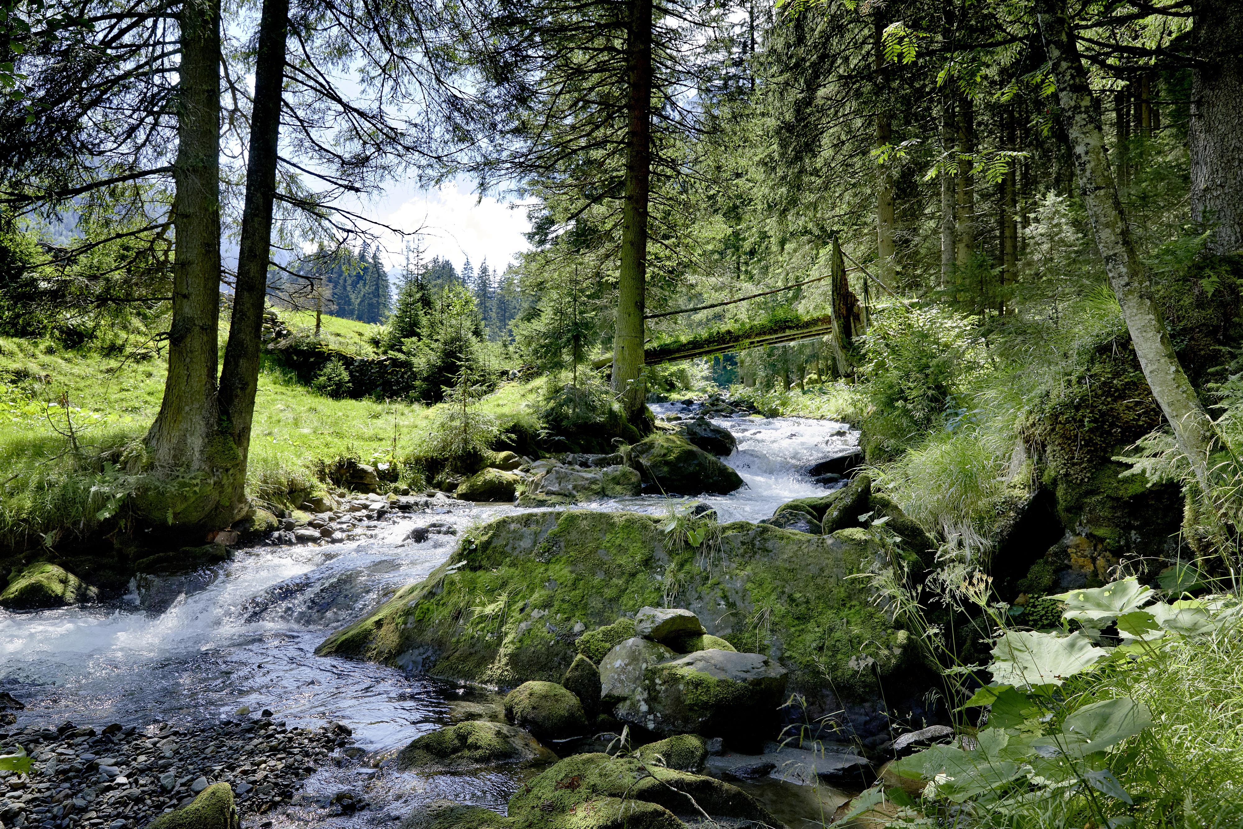 Rangertour: Ins Hollersbachtal