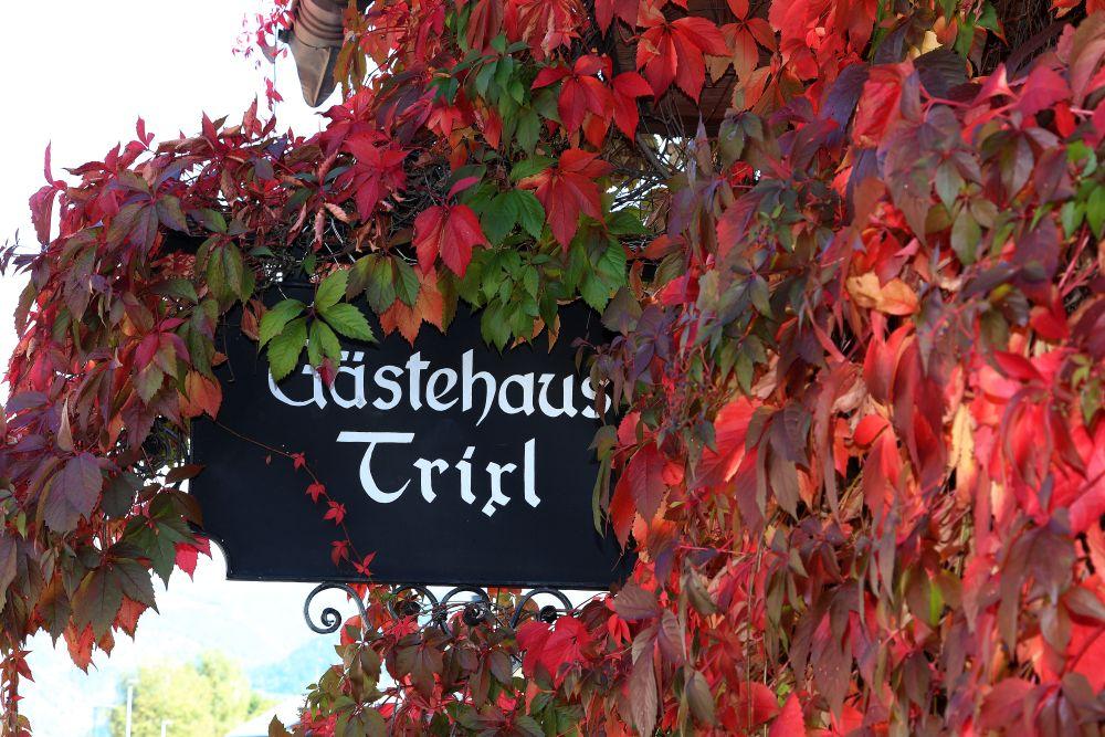 A beautiful entrance to the Guesthouse Trißl, surrounded by colorful autumn leaves. The vibrant red and green leaves create an inviting atmosphere.