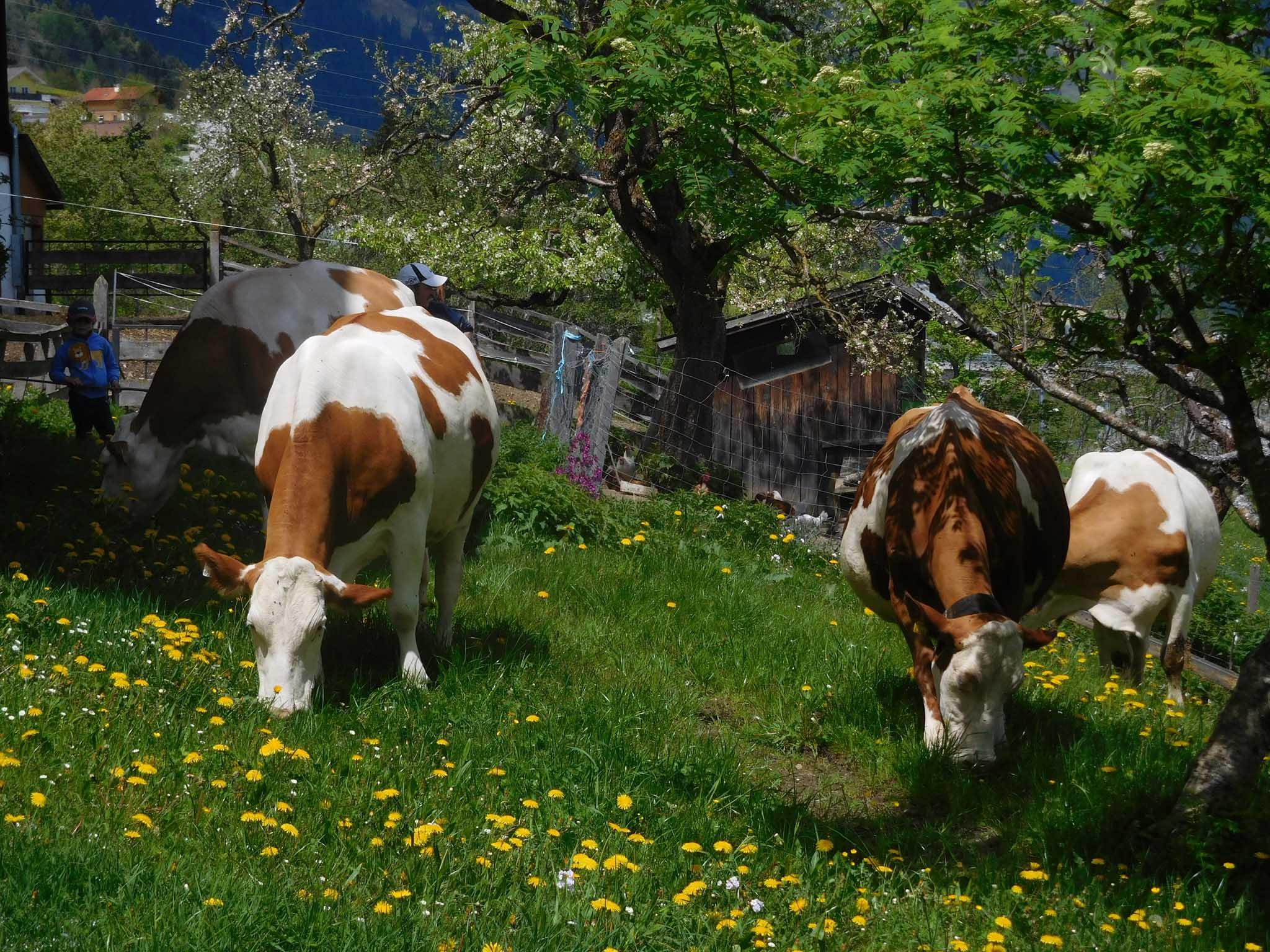 Tierwohl 5 Sterne