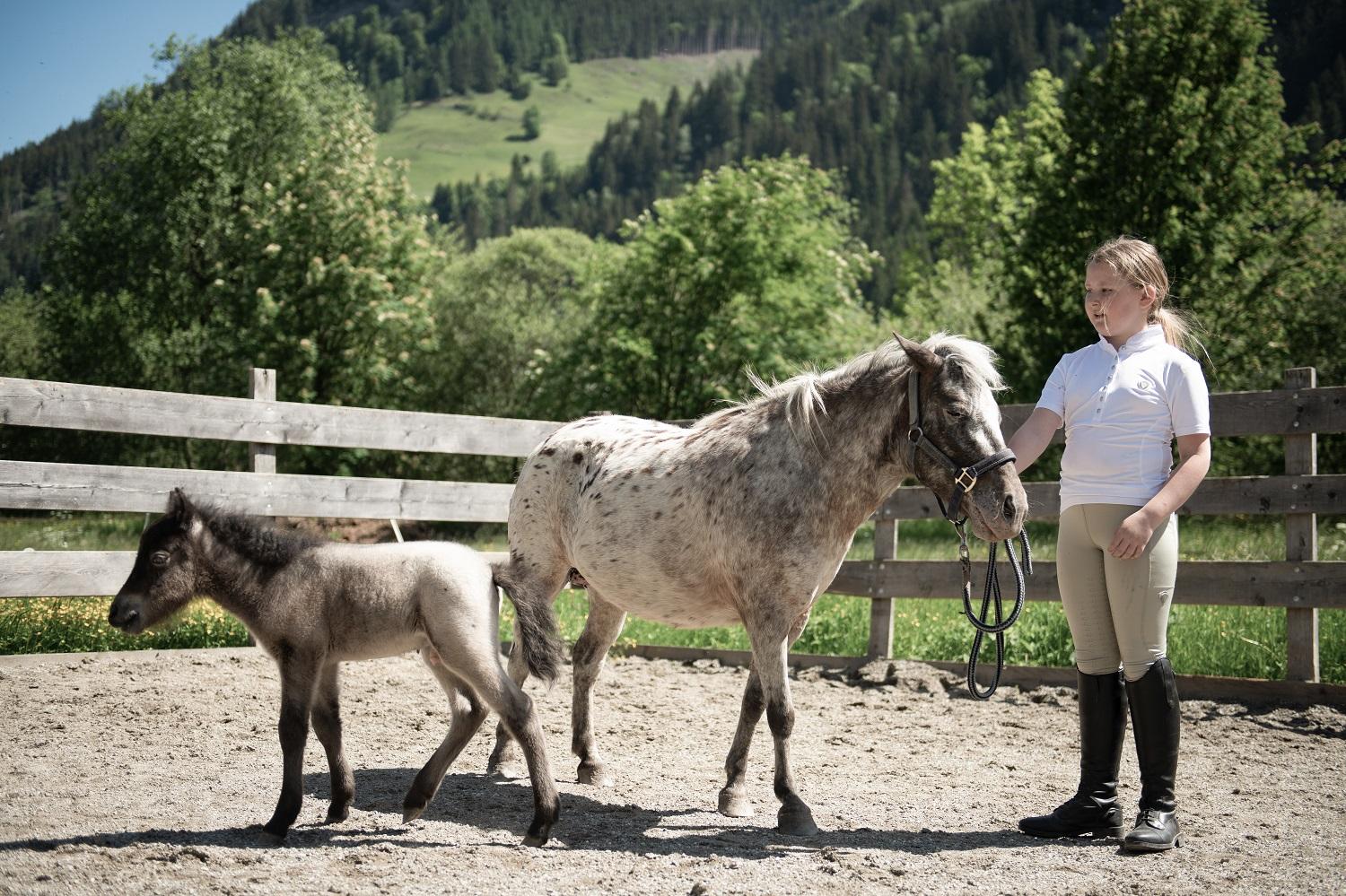 A girl stands with a horse and a foal at a riding stable. In the background, green trees and hills can be seen.