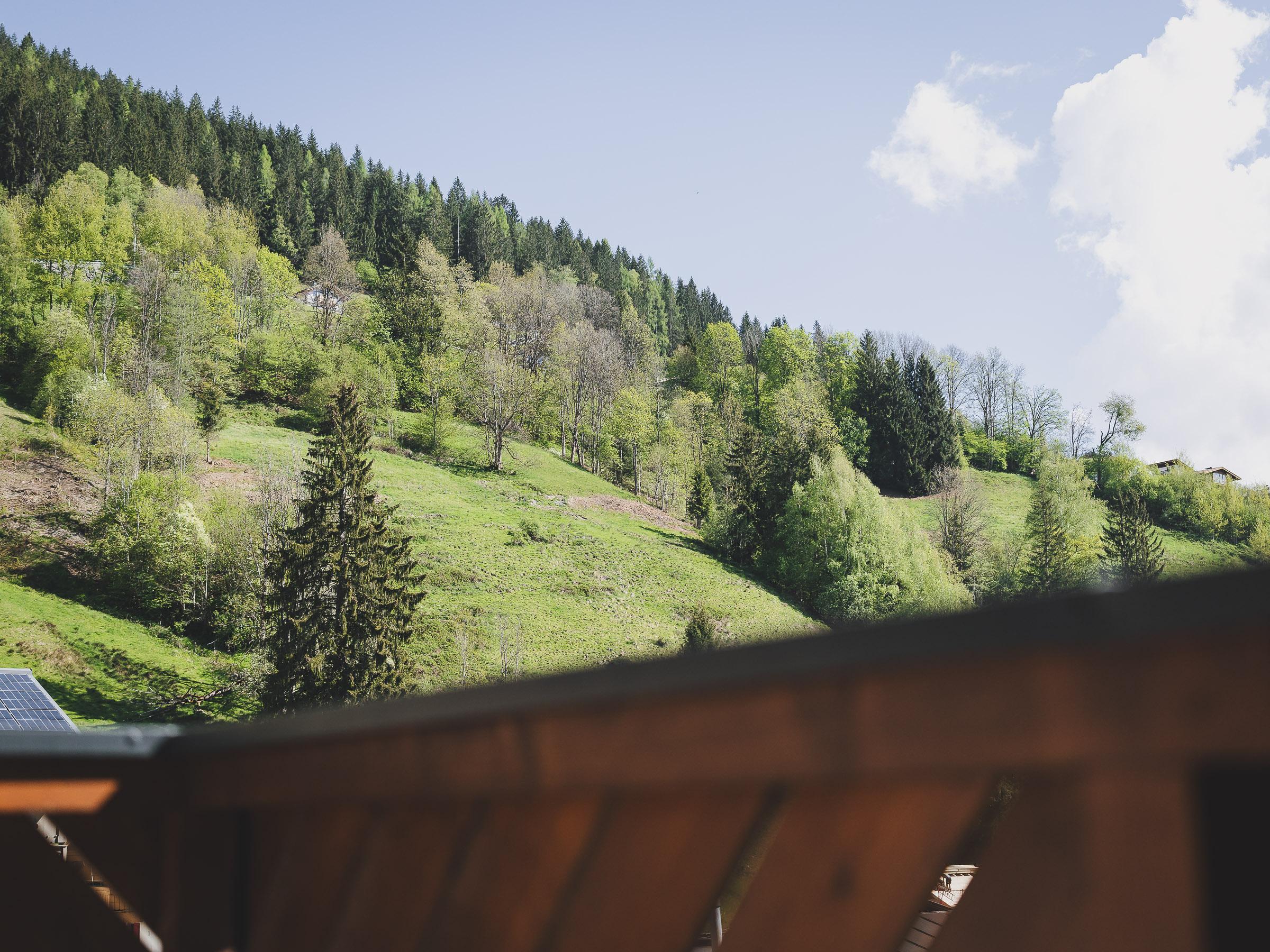 A green hilly landscape with various types of trees and a bright sky. In the foreground, a part of a terrace is visible.