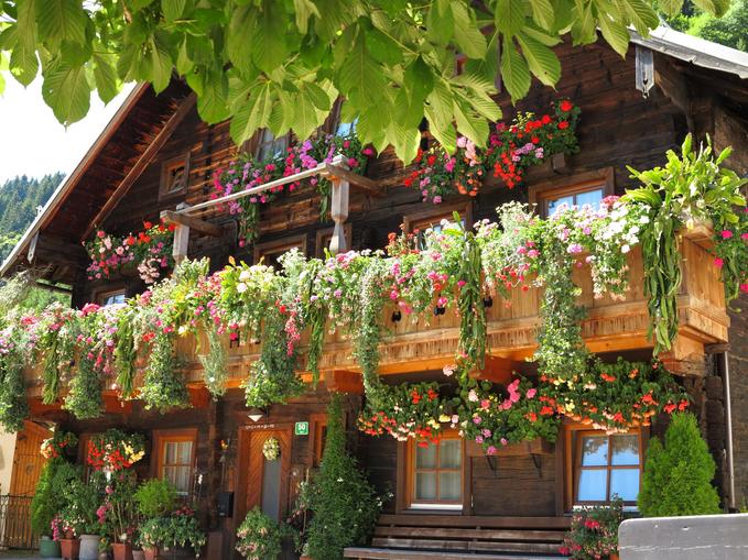 Blumenhaus