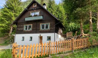 A cozy wooden house surrounded by trees and a wooden fence. The surroundings are green and invite relaxation.