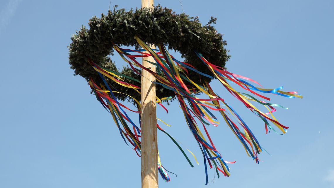 Maibaum umschneiden