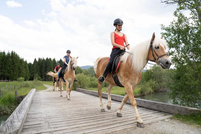 Rossbacherhof - Reiten sowie "no handicap" Reiten