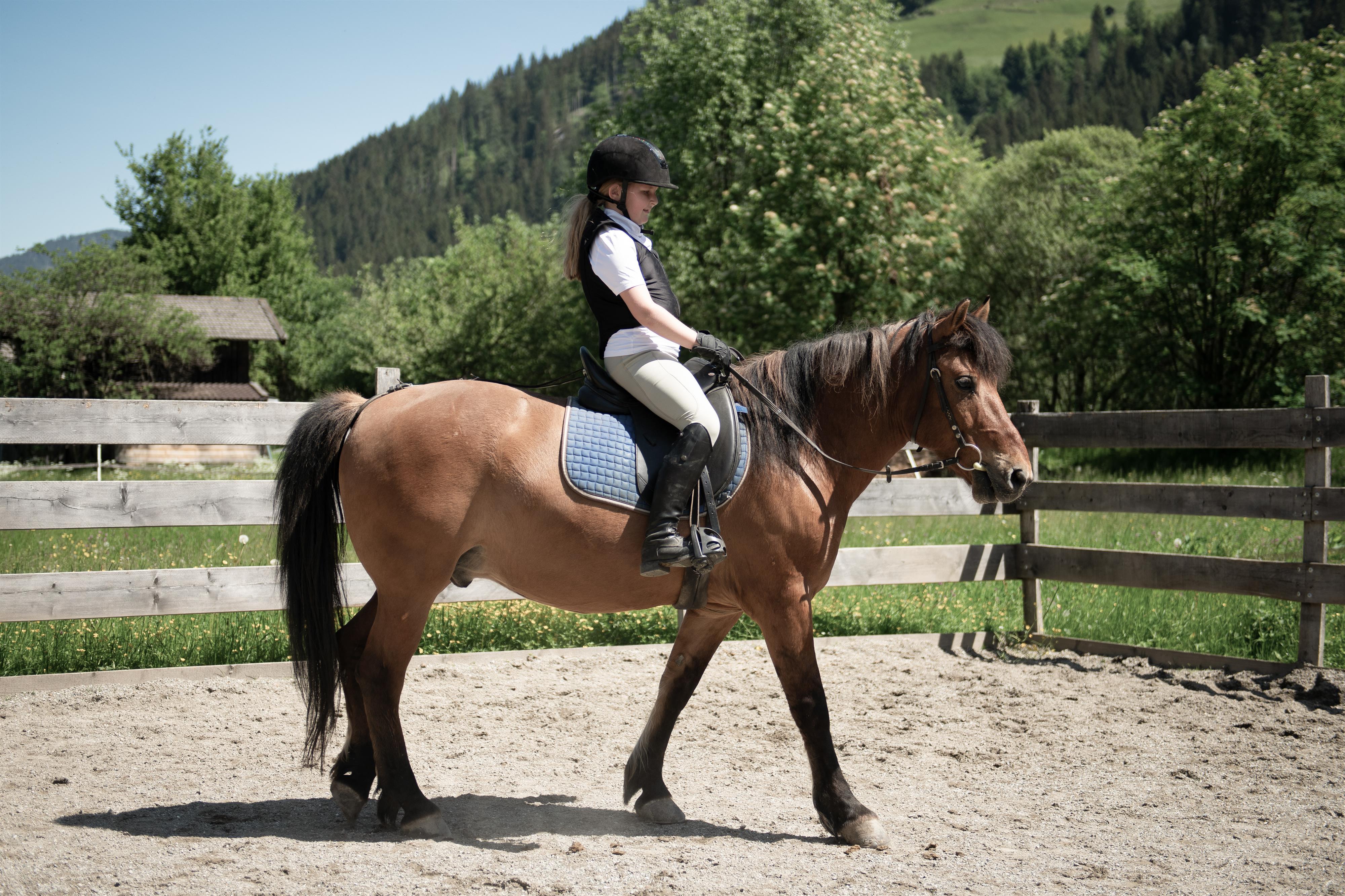 A rider on a brown horse that is out in a riding arena. In the background, there are green trees and a hilly landscape visible.