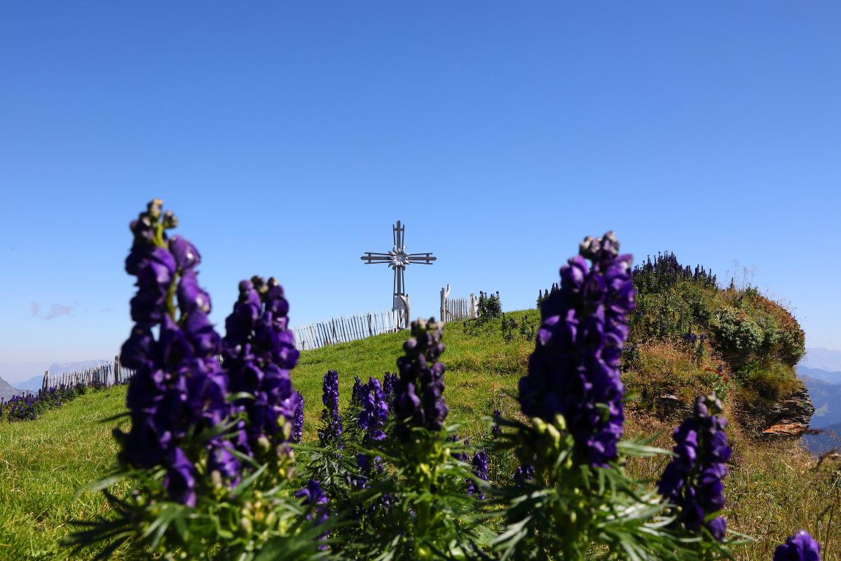 BERG-GESUND Bergtour auf den Frauenkogel