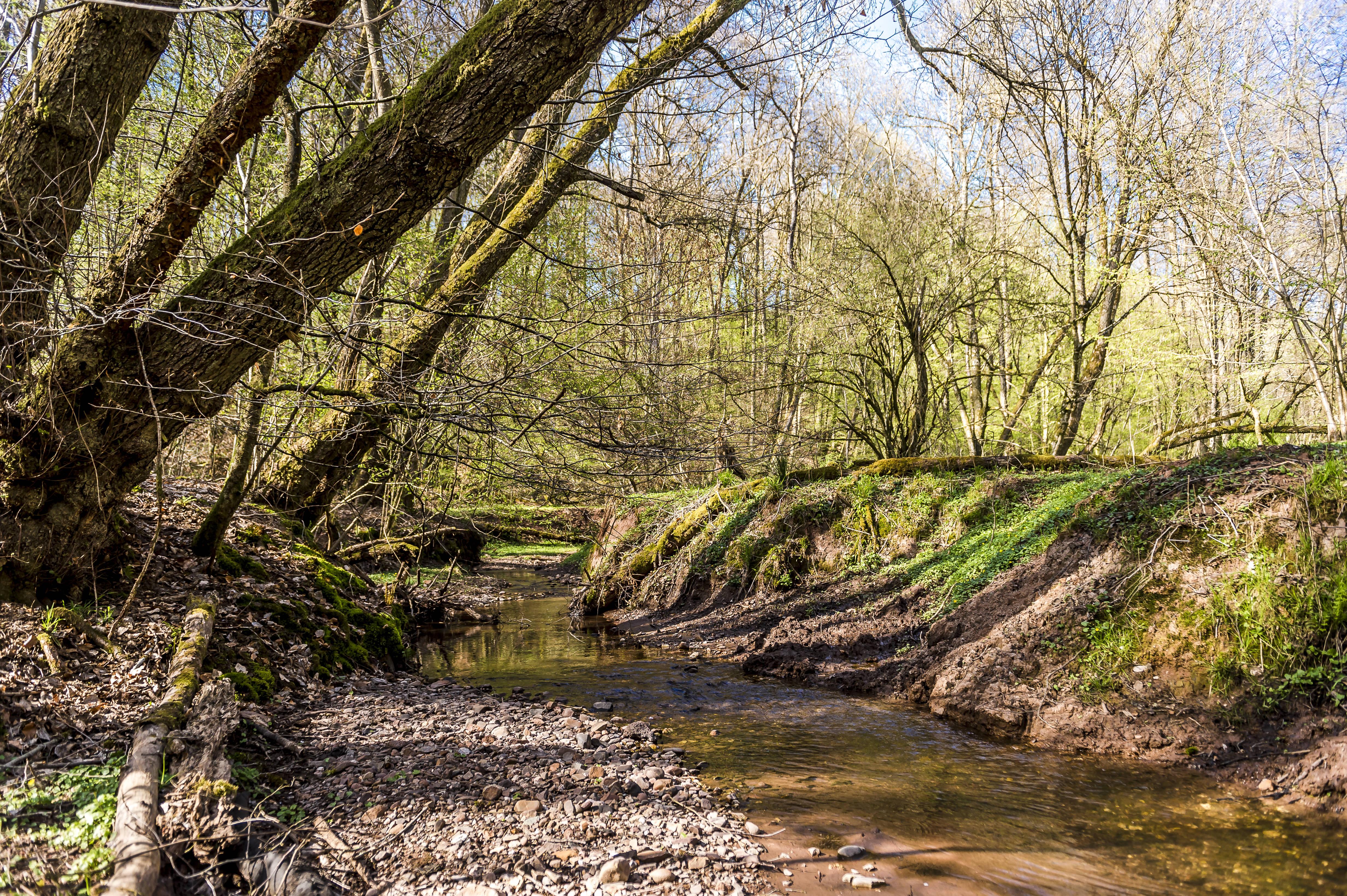 Umgebung_Dosterhof von Fotograf Marcel Schneeberg-