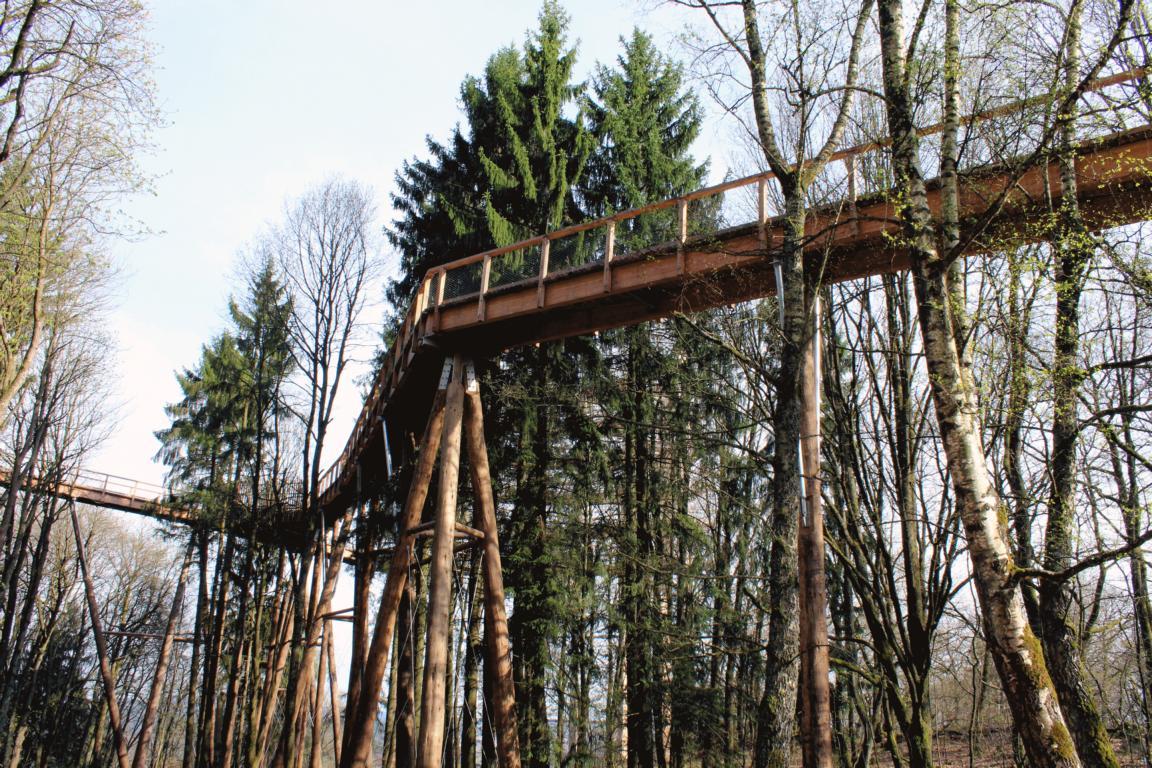 Baunwipfelpfad 5