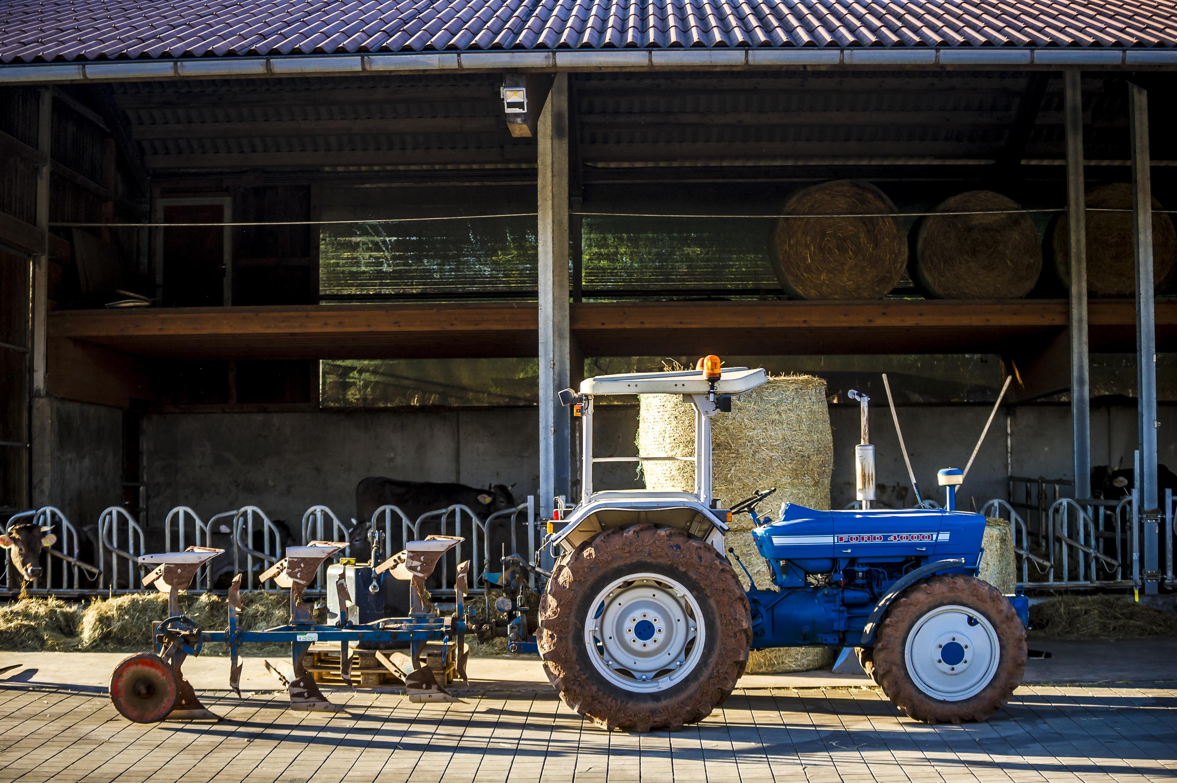 Stall LW_Dosterhof von Fotograf Marcel Schneeberg-