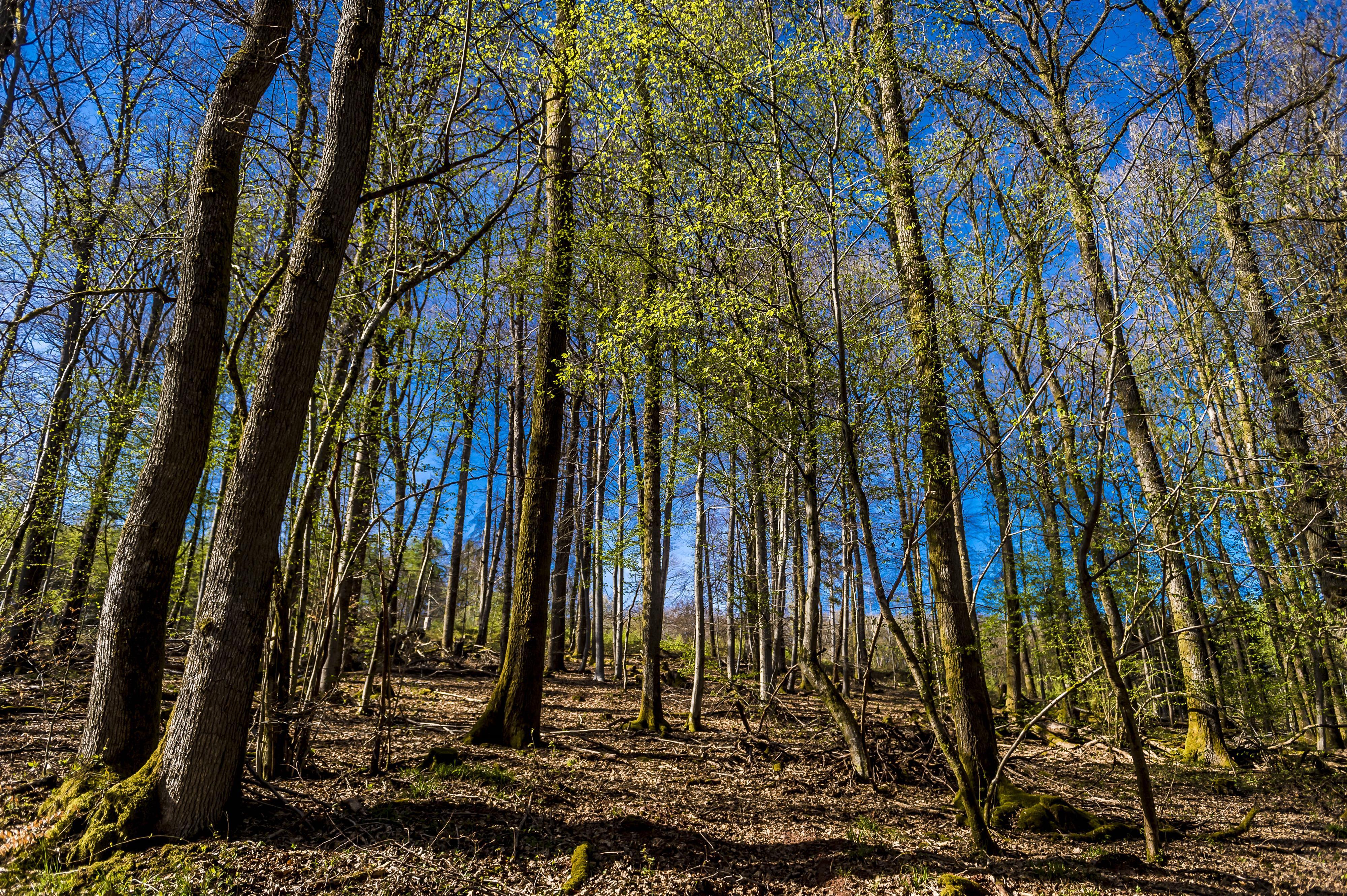 Umgebung_Dosterhof von Fotograf Marcel Schneeberg-