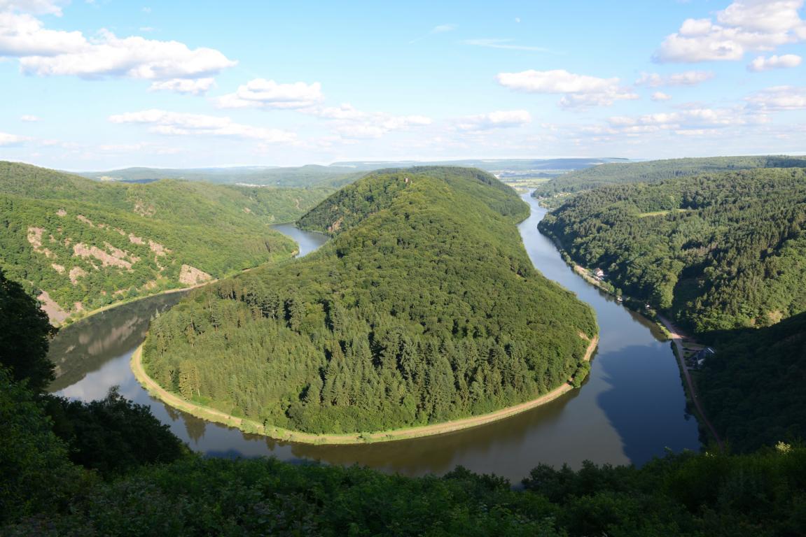 Saarschleife im Juni