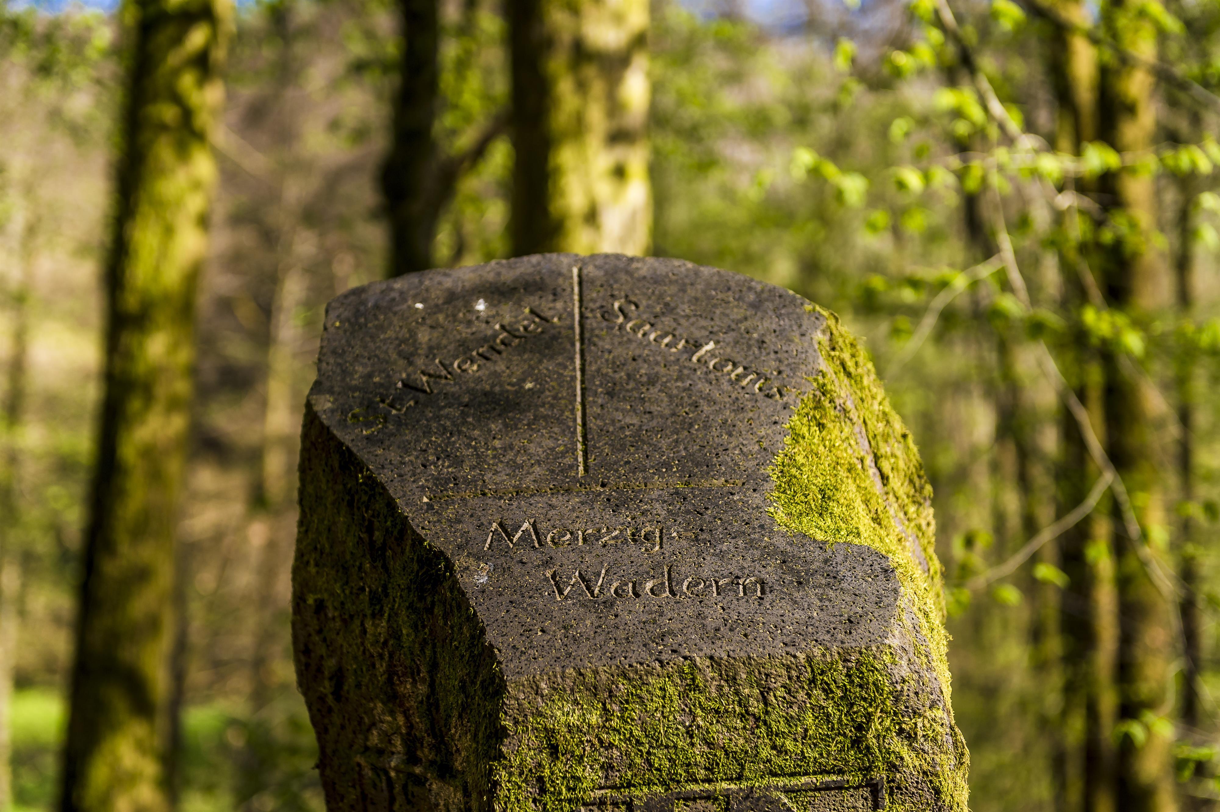 Umgebung_Dosterhof von Fotograf Marcel Schneeberg-
