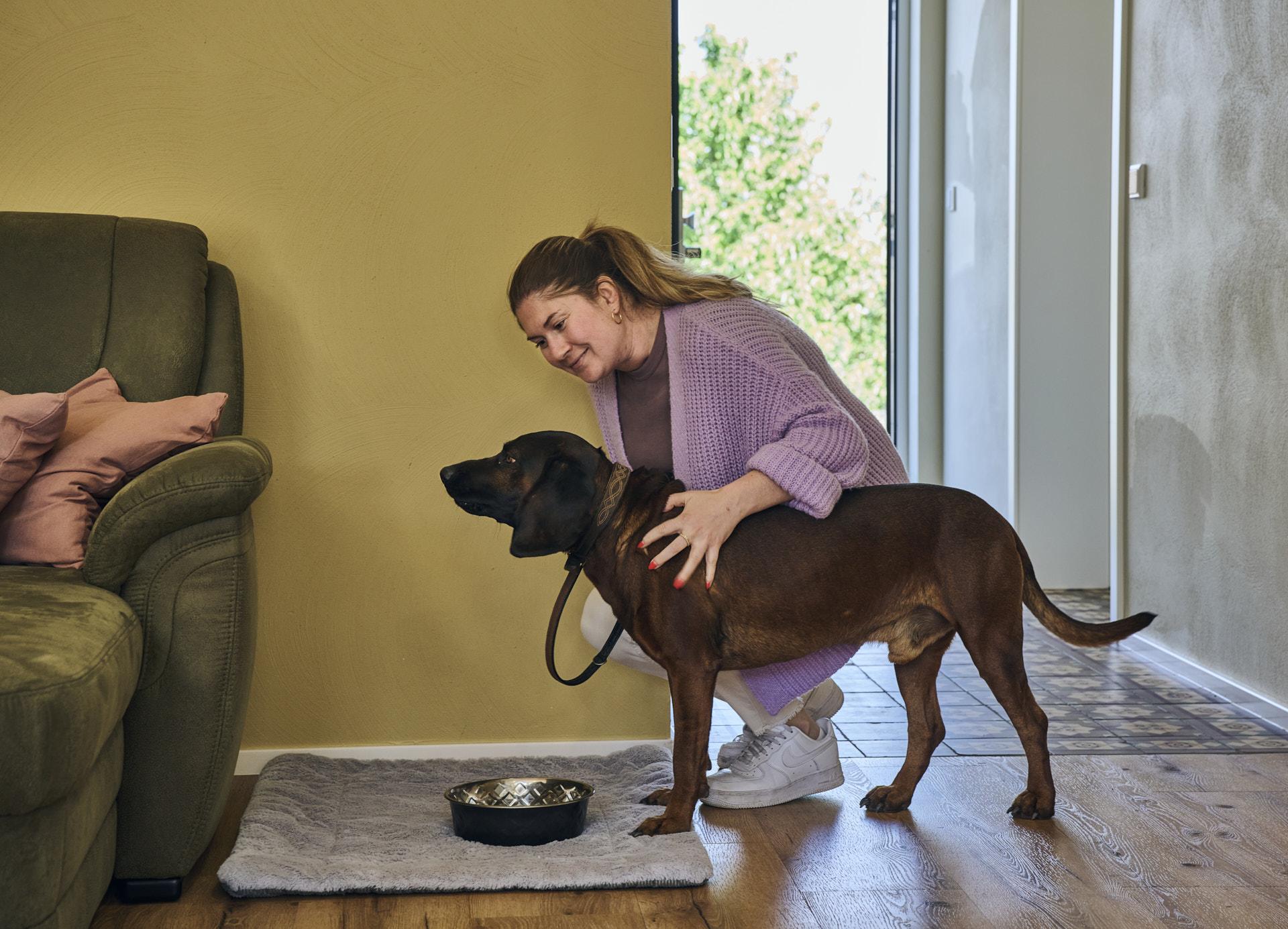 Hunde Willkommen