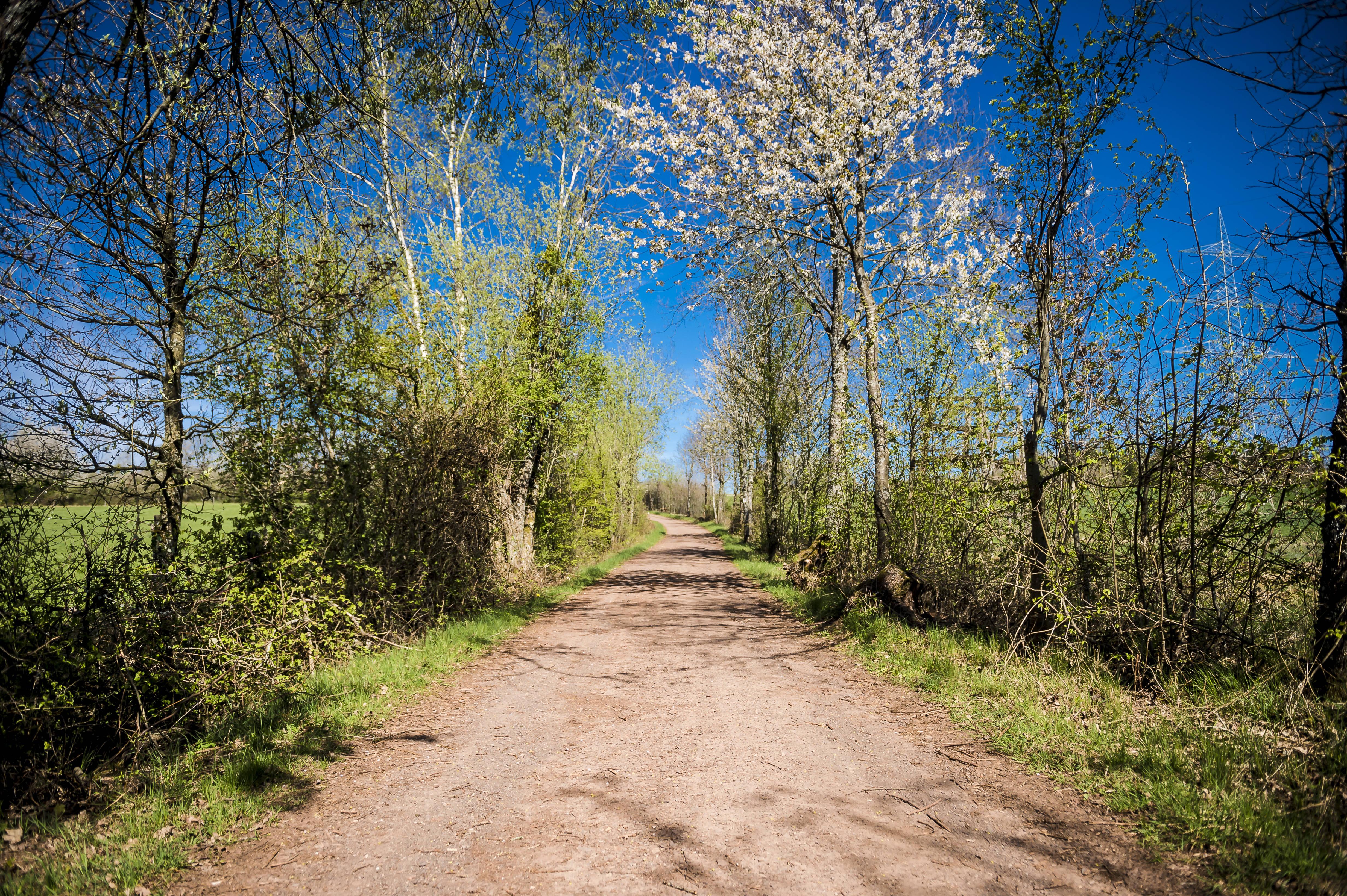 Umgebung_Dosterhof von Fotograf Marcel Schneeberg-