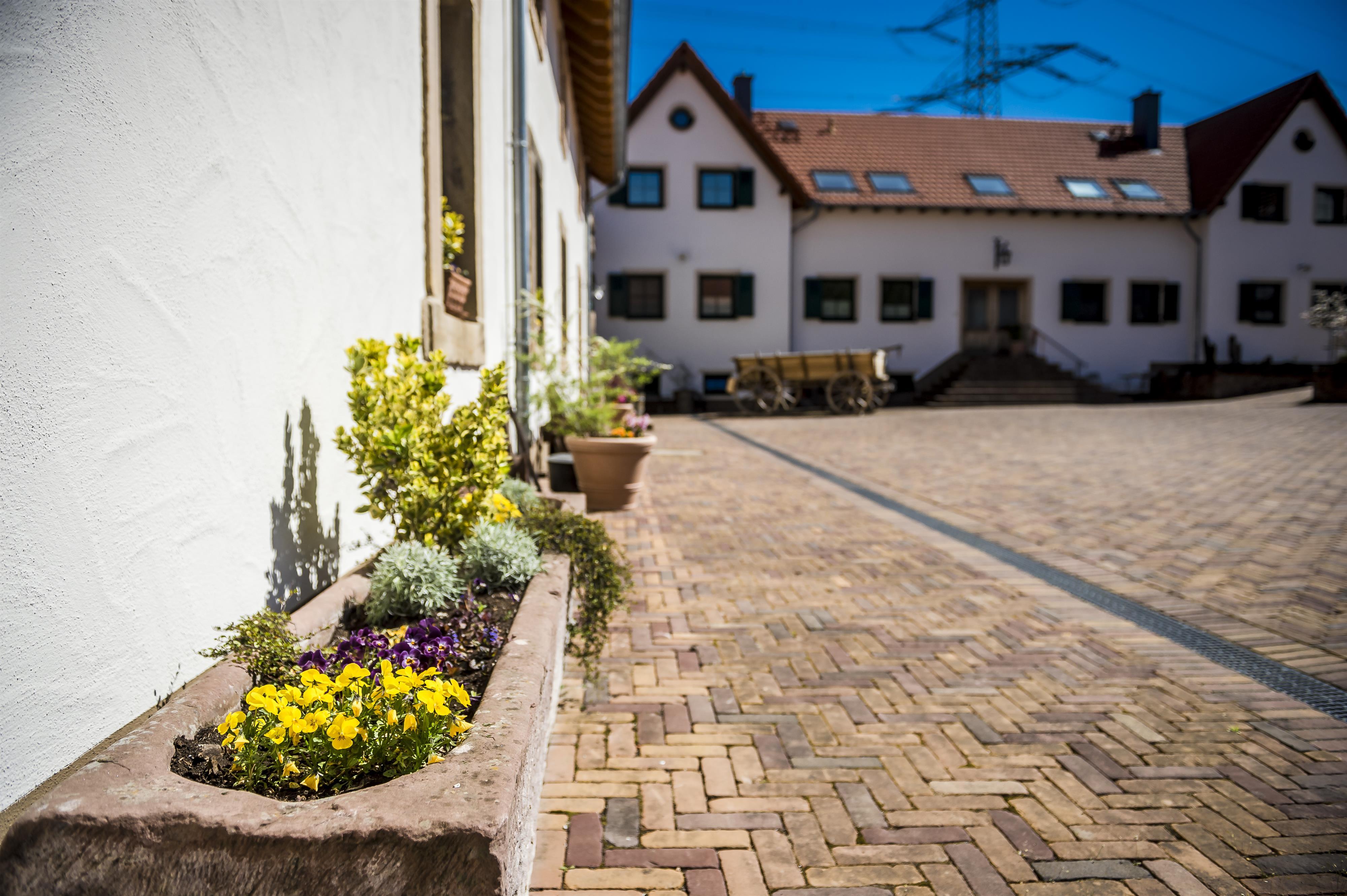 Hof_Dosterhof von Fotograf Marcel Schneeberg-00167