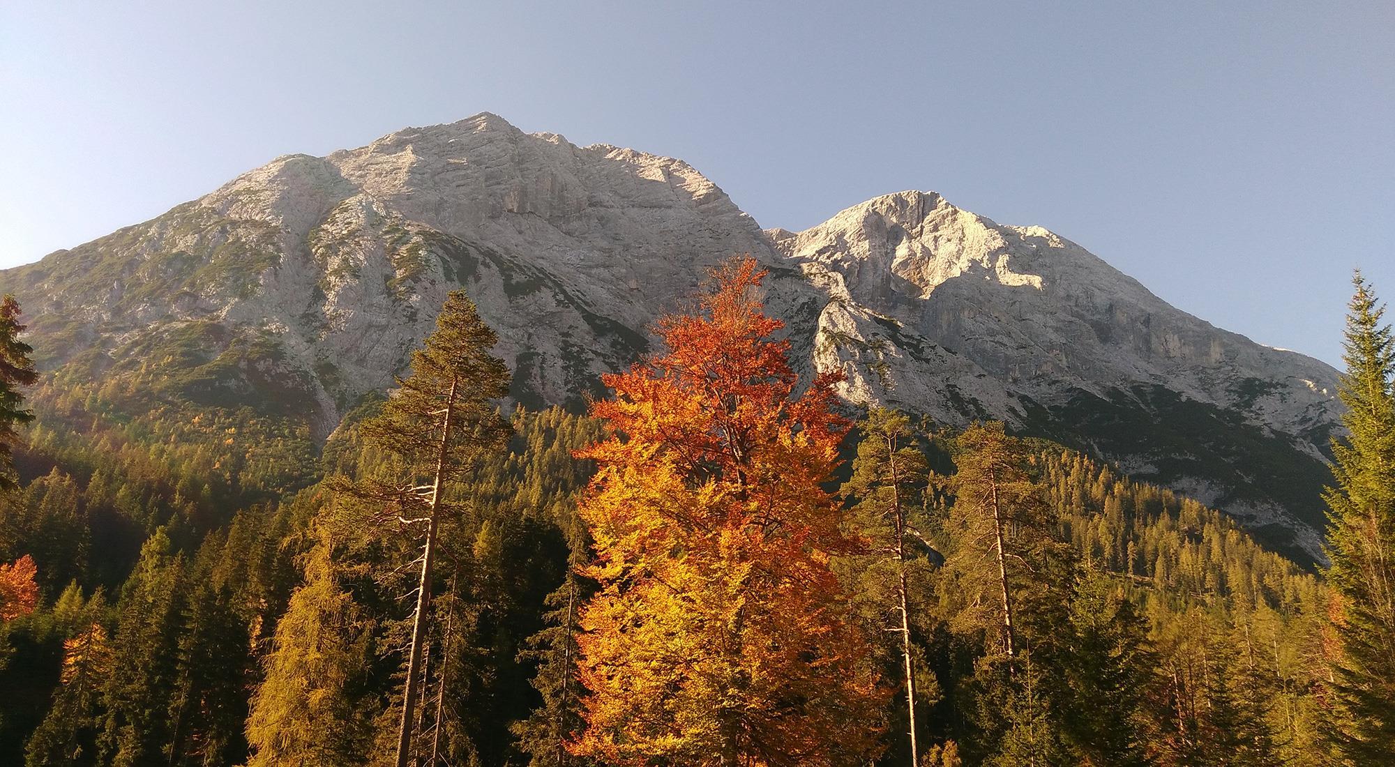 Alle Hotels in Leutasch Weidach 288 6105 Leutasch sterreich. 100% Ich bin froh, dass ich Roger und noch ein paar liebe Menschen kennenlernen durfte. Hotel Quellenhof - HolidayCheck