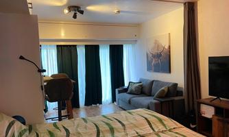 A cozy room with a bed and a gray couch. Light streams in through the windows and there is a modern TV corner.