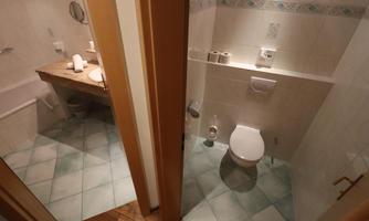 A bathroom with a shower and bathtub on the left side. On the right is a toilet with modern fixtures.
