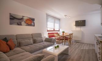 A modern living room with a cozy couch and a dining table. On the wall hangs a picture of stones and a flower.