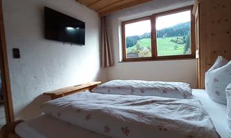 A cozy bedroom with a double bed and wooden ceiling. Through the window, you can see the green landscape.