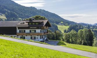A cozy house in the mountains, surrounded by green grass and trees. In the background, gentle hills stretch out, and the clear mountain air invites relaxation.