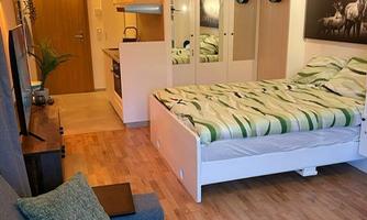 A cozy studio apartment with a comfortable bed, a sofa area, and a kitchenette. The walls are light, and there is appealing decor.