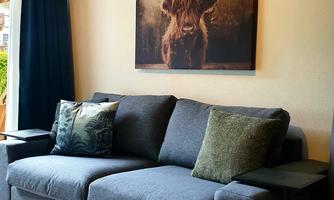 A cozy living room with a gray sofa and decorative cushions. On the wall hangs a picture of a Highland cow in front of a mountain landscape.