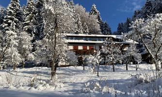 A picturesque house in the snow, surrounded by snow-covered trees. The clear sky creates a tranquil winter atmosphere.