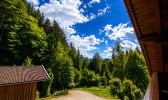 A picturesque forest landscape with green trees and a blue sky. 
Clouds gently drift across the scene, and a gravel path winds through nature.