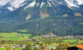 A picturesque landscape with cows in a green meadow. Imposing mountains rise up against the blue sky in the background.