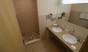 A modern bathroom with two sinks and a large mirror. On the left side, there is a shower with a tiled wall.
