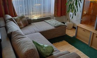 A cozy living room with a beige sofa and a green rug.  
Large windows let in plenty of daylight, and a plant stands in the corner.