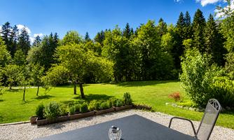 A beautiful, green meadow with trees and shrubs. In the foreground, there is a table with a decorative glass.
