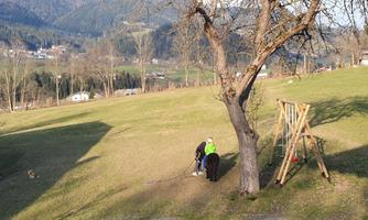 A green meadow with two people working. In the background, there is a tree and the mountains.