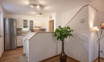 A modern kitchen with a clear design and wooden flooring. A plant is in the foreground, creating a cozy impression.